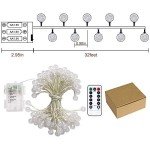 Battery Operated Globe String Lights with Remote