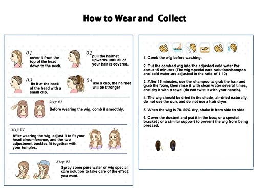 XiongXiongLe Feixiao Cosplay Wig Honkai Star Rail Long Straight Women Costume White Gradient Sky Blue Wigs for Adult Women Cos Anime Game HSR Party Halloween Christmas Comic(Feixiao)