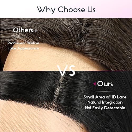 EMMOR Lace Front Wigs,Natural Layered Lace Wig is Suitable for Women,Heat-Resistant Synthetic Straight Wigs for Daily Use(Natural Brown)