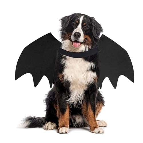 Gustach Dog Bat Costume, Cute Dog Costumes, Dog Costumes Halloween, Bat Wings for Dogs Medium