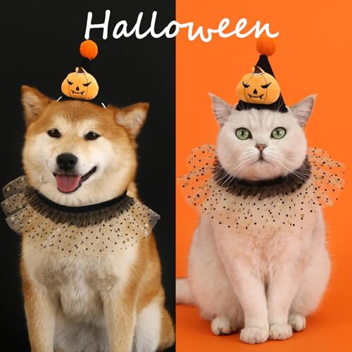 Halloween Cat Dog Costume Bandana and Hat Set, Feierxun Cat Outfits Cute Lace Bib Scarf and Witch Hat, Girls Cat Dog Halloween Bandana for Cat Apparel, Kitten Puppy Pet Clothes Dress Up