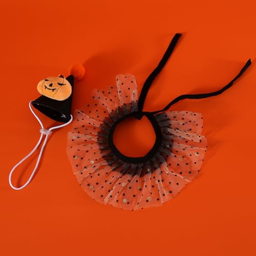 Halloween Cat Dog Costume Bandana and Hat Set, Feierxun Cat Outfits Cute Lace Bib Scarf and Witch Hat, Girls Cat Dog Halloween Bandana for Cat Apparel, Kitten Puppy Pet Clothes Dress Up