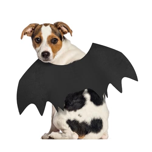 Gustach Dog Bat Costume, Cute Dog Costumes, Dog Costumes Halloween, Bat Wings for Dogs Medium
