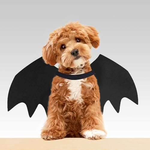 Gustach Dog Bat Costume, Cute Dog Costumes, Dog Costumes Halloween, Bat Wings for Dogs Medium