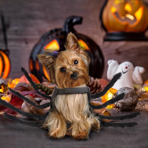 Suyfhdc Dog Spider Costume,Dogs Party Accessories Spider Decoration,Halloween Cosplay Costumes with Adjustable Velcro Fits Small Medium Pet Dogs and Cat,Black