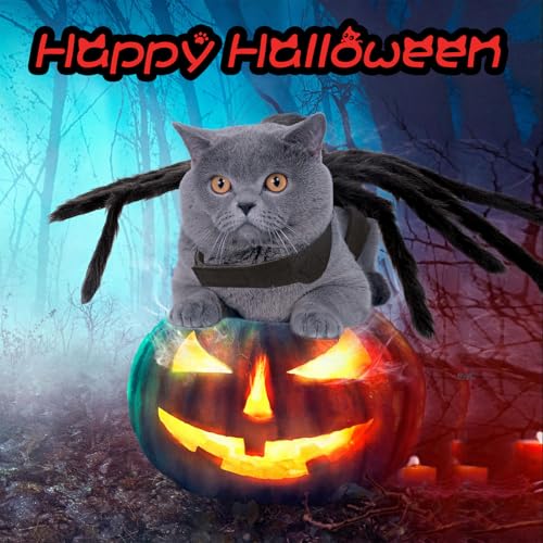 Suyfhdc Dog Spider Costume,Dogs Party Accessories Spider Decoration,Halloween Cosplay Costumes with Adjustable Velcro Fits Small Medium Pet Dogs and Cat,Black