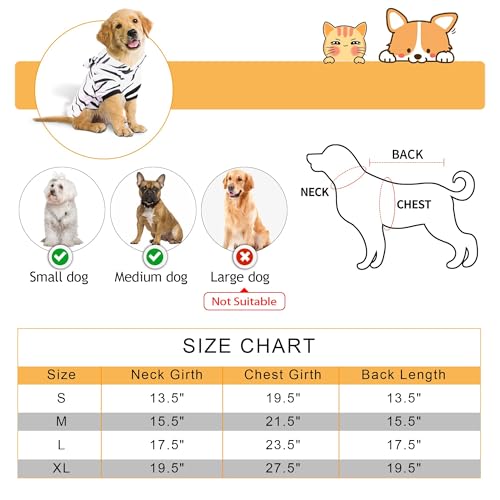 DELIFUR Dog White Tiger Costume - Dog Funny Costume Hooded Halloween Cosplay Cute Costume for Small Medium Dogs Pet Special Events Photo Props Accessories (White, Small)