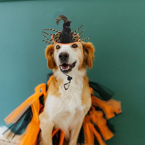 Bobo Rainbow 1PC Dog Halloween Day Costume - Dog Cat Halloween Hat Pet Adjustable Headpiece Hat Pet Spider Costume Soft Pet Hat Cute Hat for Dogs and Cats