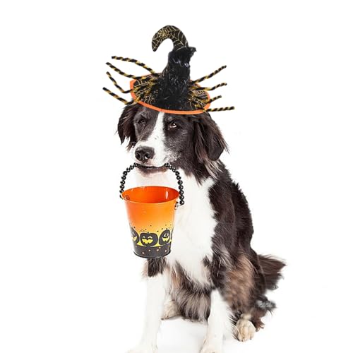 Bobo Rainbow 1PC Dog Halloween Day Costume - Dog Cat Halloween Hat Pet Adjustable Headpiece Hat Pet Spider Costume Soft Pet Hat Cute Hat for Dogs and Cats