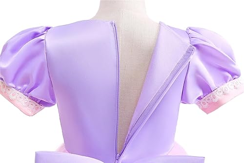 Dressy Daisy Long Braid Princess Fancy Dress Up Halloween Birthday Party Costume with Braid Accessories for Little Girls Size 5-6, Purple