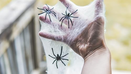 Happy Hippo Halloween Spider Web Decoration, Plastic Spiders, Party Supplies, Spider Webs (Small, 200 Sq Feet)
