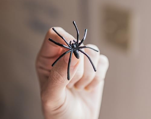 Happy Hippo Halloween Spider Web Decoration, Plastic Spiders, Party Supplies, Spider Webs (Small, 200 Sq Feet)