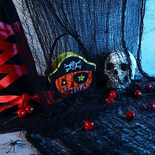 2 Pieces Halloween Creepy Spider Webs Scary Gauze Cloth Doorways with 50 Pieces Fake Spiders for Halloween Decorations (Black)