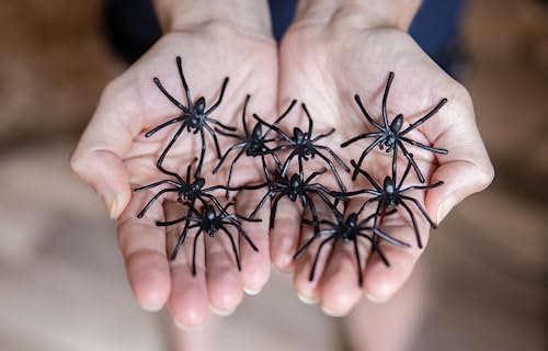 Happy Hippo Halloween Spider Web Decoration, Plastic Spiders, Party Supplies, Spider Webs (Small, 200 Sq Feet)