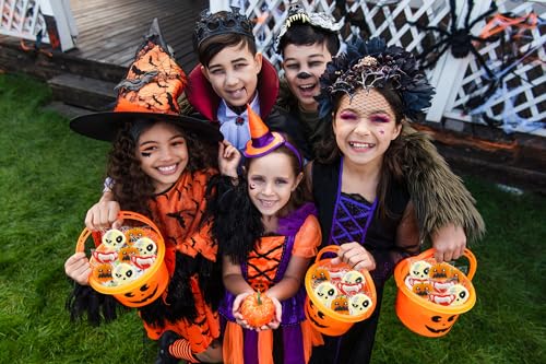 Fruidles Halloween Lollipop Suckers Candy, Spooky Candies, Great for Halloween Goody Bag Fillers, Individually Wrapped (24-Pack)