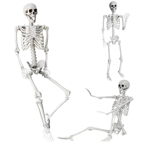 5.4Ft/165cm Halloween Skeleton Full Body Life Size Human Bones with Movable Joints for Indoor Outdoor Halloween Props Decorations