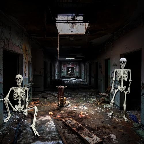 5.4Ft/165cm Halloween Skeleton Full Body Life Size Human Bones with Movable Joints for Indoor Outdoor Halloween Props Decorations