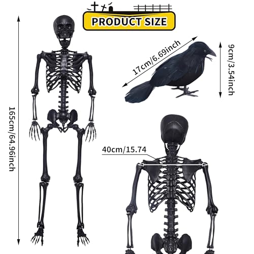 5.4Ft Halloween Skeleton,Posable Skeleton Full Size Skeleton with Movable Joints and 2PC Black Feathered Crows for Halloween Decorations Outside and Inside