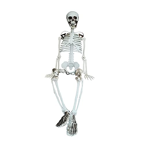 36” Halloween Skeleton Full Body Life like Skeleton Model with Movable Joints for Halloween Decoration