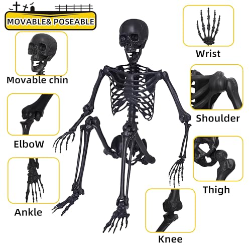 5.4Ft Halloween Skeleton,Posable Skeleton Full Size Skeleton with Movable Joints and 2PC Black Feathered Crows for Halloween Decorations Outside and Inside