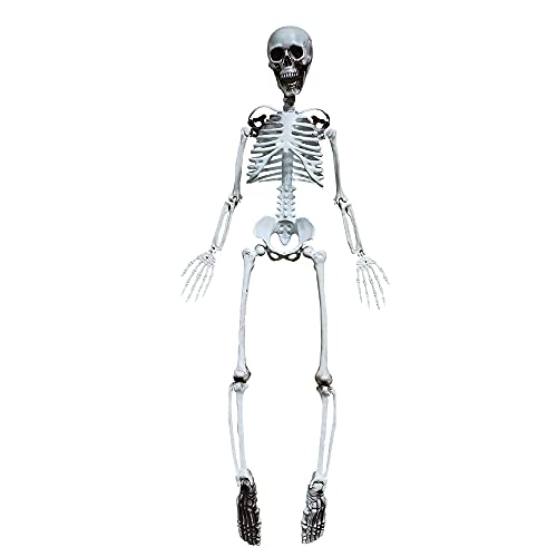 36” Halloween Skeleton Full Body Life like Skeleton Model with Movable Joints for Halloween Decoration