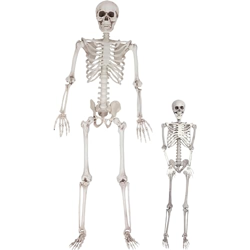 Life Size Skeleton Halloween Decoration Value 2 Pack -Adult (5' 4") & Child (2') Weather Resistant for Indoor/Outdoor - Upgrade Your Fall Graveyard Haunted House Party Props, School Classroom Decor