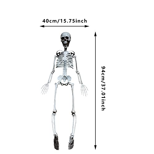 36” Halloween Skeleton Full Body Life like Skeleton Model with Movable Joints for Halloween Decoration