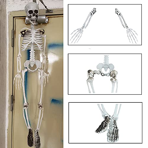 36” Halloween Skeleton Full Body Life like Skeleton Model with Movable Joints for Halloween Decoration