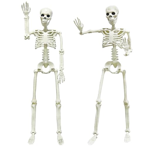 2PACK Plastic Posable Halloween Skeleton Decorations, 3FT Poseable Skeleton Full Body with Movable Joints for Halloween Indoor/Outdoor Haunted Houses, Lawn, Graveyard Decor