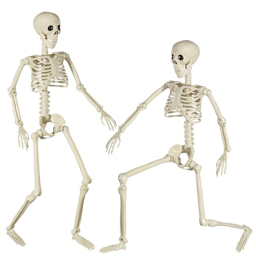XONOR Halloween Skeleton Full Body Posable Joints , 3ft Human Skeleton Decorations for Party Haunted House Supplies (1pc)