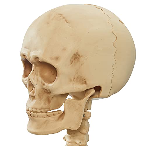 Way to Celebrate Halloween Skeleton Duo Carrying Coffin, 5'