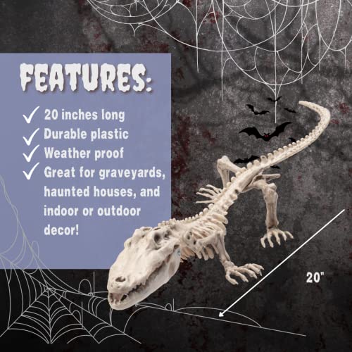 Crocodile Skeleton Halloween Decoration (2 Pack) 20" Long- Weather Resistant for Indoor Outdoor Use- Animal Decor for School Projects, Classrooms, Science Fairs- Fun & Educational Fall Party Prop