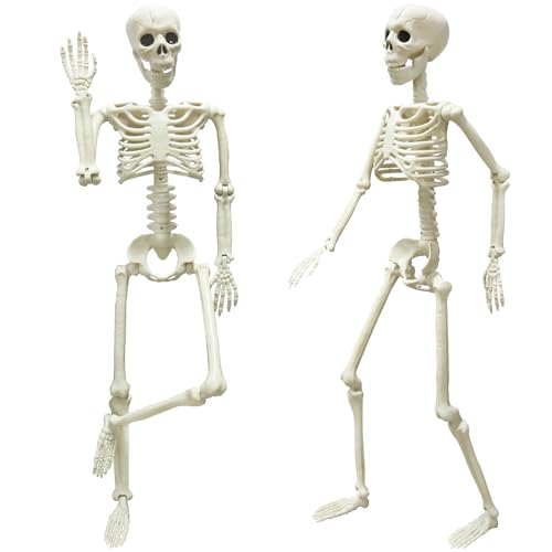 LUKBERA 2PCS Halloween Posable Skeletons, 3FT Full Body Human Skeleton with Movable Joints for Halloween Haunted House Graveyard Party Scary Decor, White