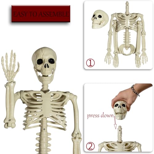 XONOR Halloween Skeleton Full Body Posable Joints , 3ft Human Skeleton Decorations for Party Haunted House Supplies (1pc)