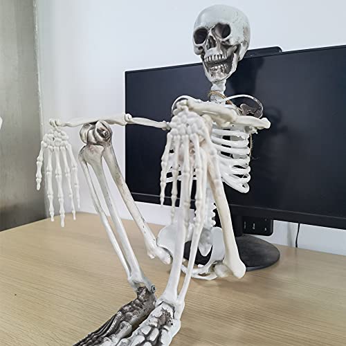 36” Halloween Skeleton Full Body Life like Skeleton Model with Movable Joints for Halloween Decoration