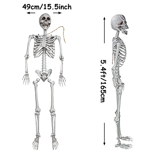 2Packs 5.4ft Halloween Human Skeletons Life Size Full Body Bones with Movable Joints for Halloween Props Spooky Party Decoration