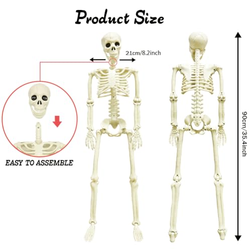 LUKBERA 2PCS Halloween Posable Skeletons, 3FT Full Body Human Skeleton with Movable Joints for Halloween Haunted House Graveyard Party Scary Decor, White