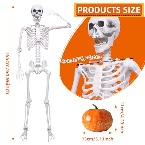 Halloween Skeleton Decor,5.4ft Life Size Skeleton Posable Skeleton with Artificial Pumpkin Full Body Human Skeleton for Halloween Decorations