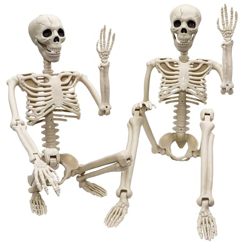 2 Pack Life Size Halloween Skeletons - 3 ft Props