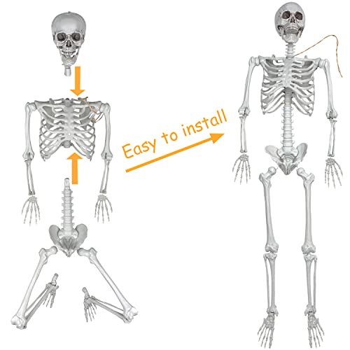 2Packs 5.4ft Halloween Human Skeletons Life Size Full Body Bones with Movable Joints for Halloween Props Spooky Party Decoration