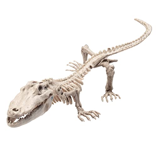 Crocodile Skeleton Halloween Decoration (2 Pack) 20" Long- Weather Resistant for Indoor Outdoor Use- Animal Decor for School Projects, Classrooms, Science Fairs- Fun & Educational Fall Party Prop