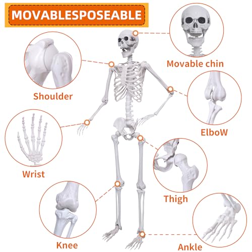 Halloween Skeleton Decor,5.4ft Life Size Skeleton Posable Skeleton with Artificial Pumpkin Full Body Human Skeleton for Halloween Decorations