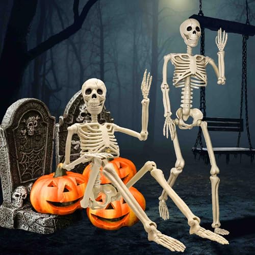 2 Pack Life Size Halloween Skeletons - 3 ft Props