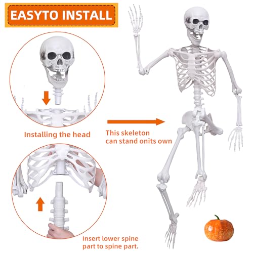 Halloween Skeleton Decor,5.4ft Life Size Skeleton Posable Skeleton with Artificial Pumpkin Full Body Human Skeleton for Halloween Decorations