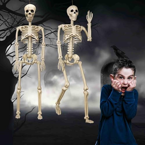 2 Pack Life Size Halloween Skeletons - 3 ft Props