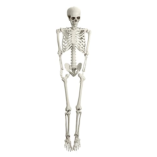 Halloween Life Size Skeleton, 5.4FT Skeleton Decor Realistic Full Body Bones Poseable Halloween Skeleton Prop with Movable Joints for Indoor Outdoor Party Haunted House Lawn Décor