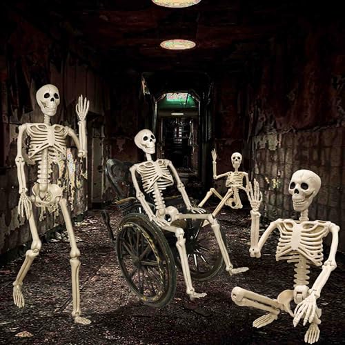 2 Pack Life Size Halloween Skeletons - 3 ft Props