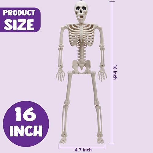 5 Pack of Posable Halloween Skeleton Decor