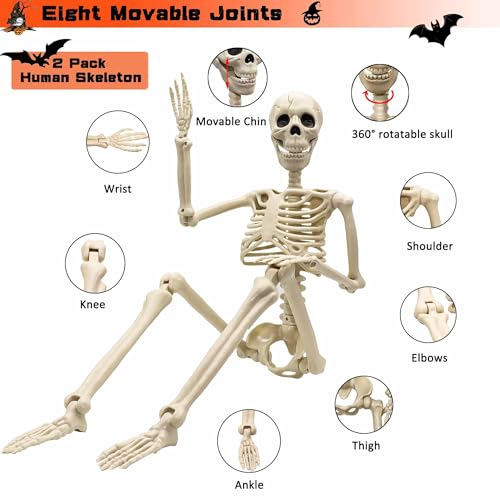 2 Pack Life Size Halloween Skeletons - 3 ft Props