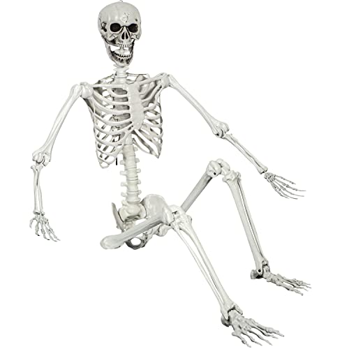 5.4ft Halloween Posable Skeleton Realistic Life Size Human Skeleton Bones with Movable Joints for Halloween Haunted House Indoor Outdoor Décor (5.4ft - 1P)